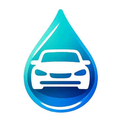 Lavage auto à domicile Chatte